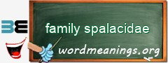 WordMeaning blackboard for family spalacidae